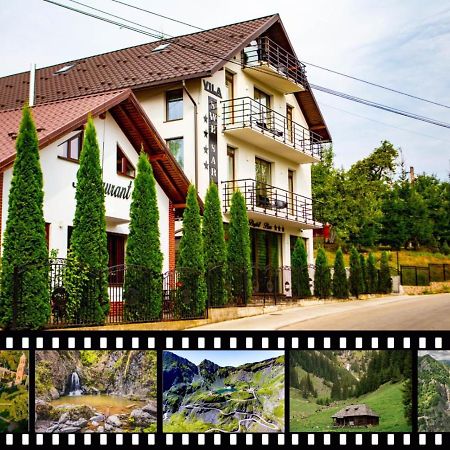 Hotel Vila Swe Sar à Curtea de Argeş Extérieur photo