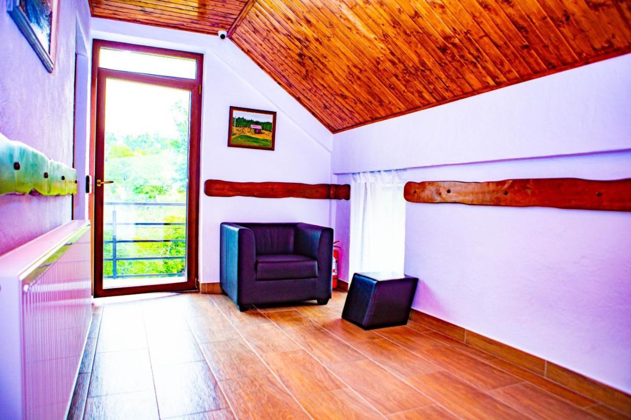 Hotel Vila Swe Sar à Curtea de Argeş Extérieur photo