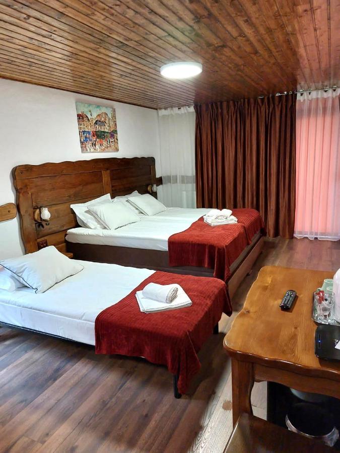 Hotel Vila Swe Sar à Curtea de Argeş Extérieur photo