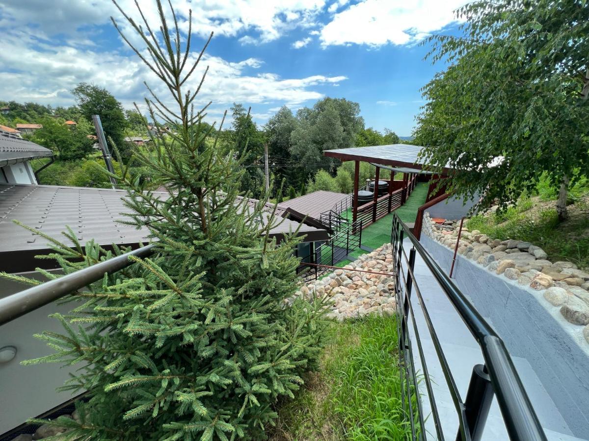 Hotel Vila Swe Sar à Curtea de Argeş Extérieur photo